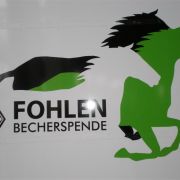 BORUSSIA - SC Freiburg 27.2.2010